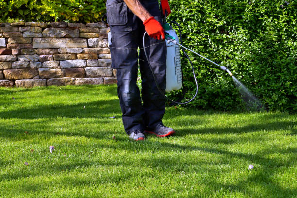 Trusted Middleport, OH Pest Control Experts